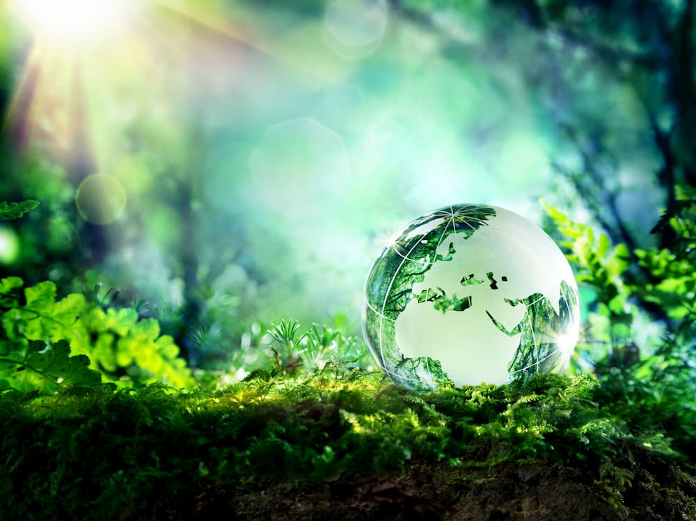 natural world showing how to reduce reuse recycle