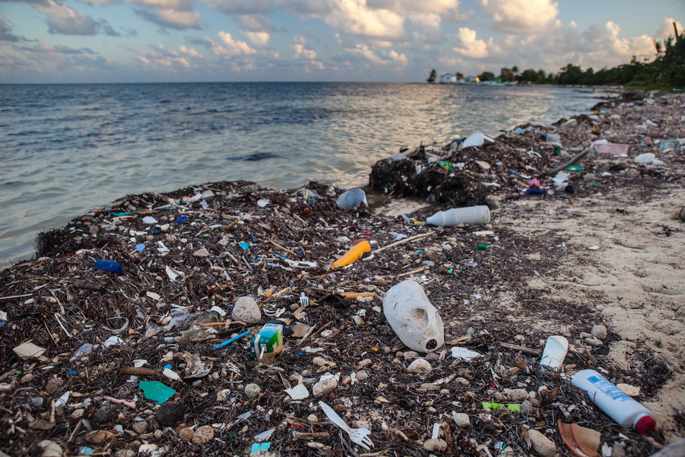 Ocean plastic could triple by 2040 and outnumber fish by 2050, study says